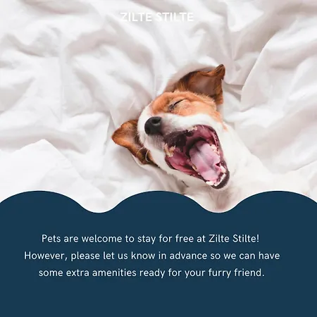 Apartmán Zilte Stilte *