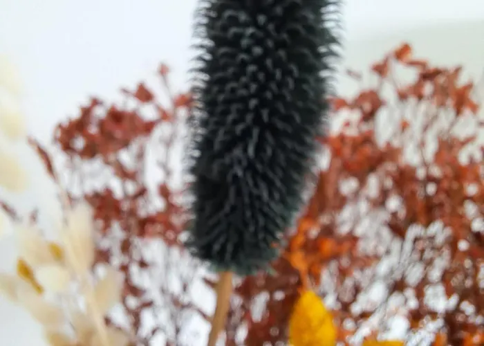 Apartmán Zilte Stilte