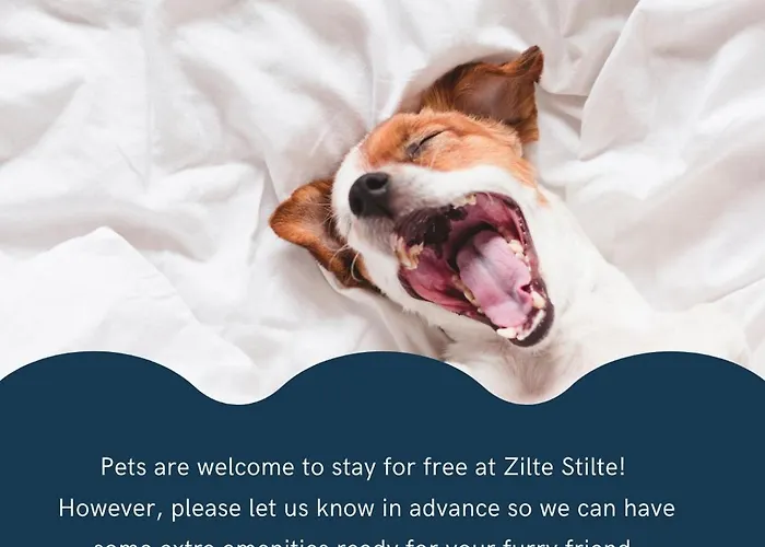 Apartment Zilte Stilte *