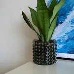 Zilte Stilte Остенде