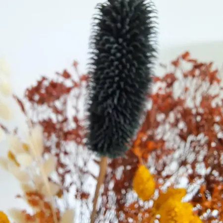 Апартаменты Zilte Stilte