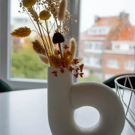 Zilte Stilte * Ostende